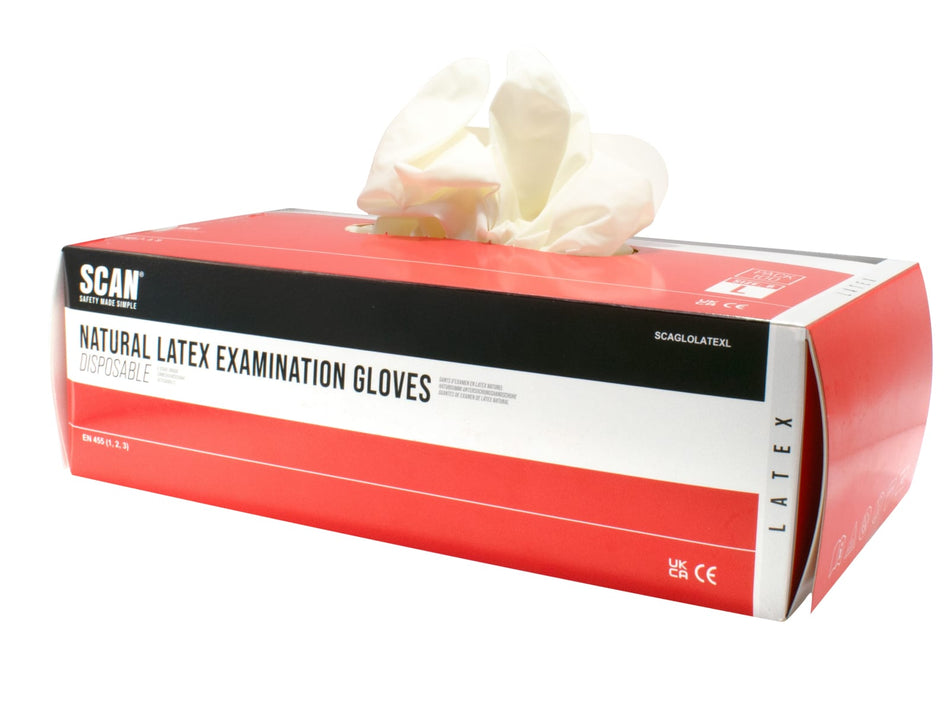 Latex Gloves - Large (Box 100)